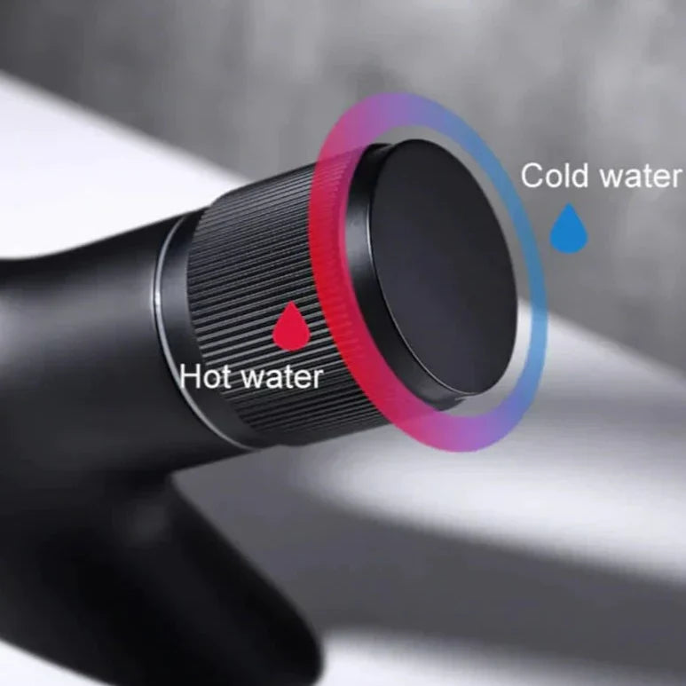 Modern Curved Bathroom Faucet